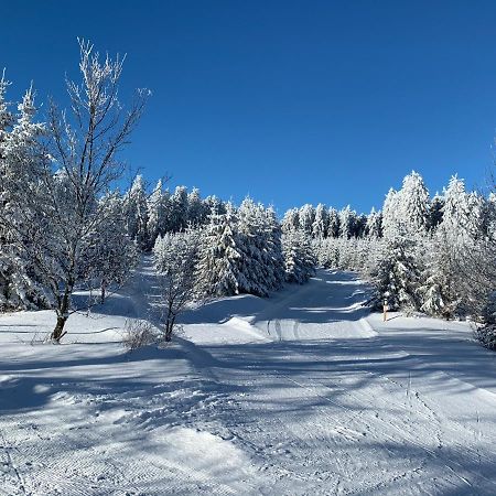 Aktiv-Ferienwohnung "Snow & Bike"- Zentral Zwischen Winterberg Und Willingen Exteriér fotografie