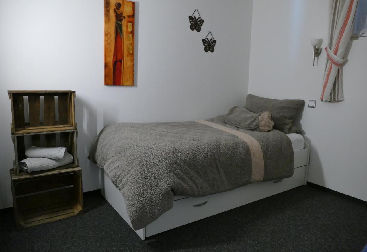 Aktiv-Ferienwohnung "Snow & Bike"- Zentral Zwischen Winterberg Und Willingen Exteriér fotografie