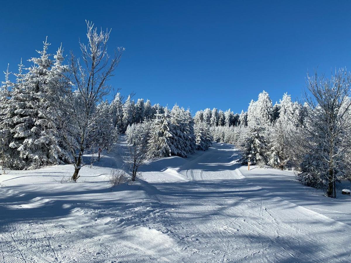 Aktiv-Ferienwohnung "Snow & Bike"- Zentral Zwischen Winterberg Und Willingen Exteriér fotografie