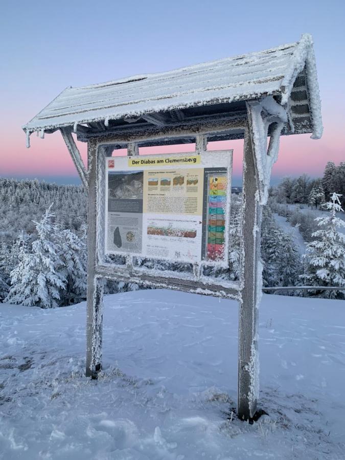 Aktiv-Ferienwohnung "Snow & Bike"- Zentral Zwischen Winterberg Und Willingen Exteriér fotografie