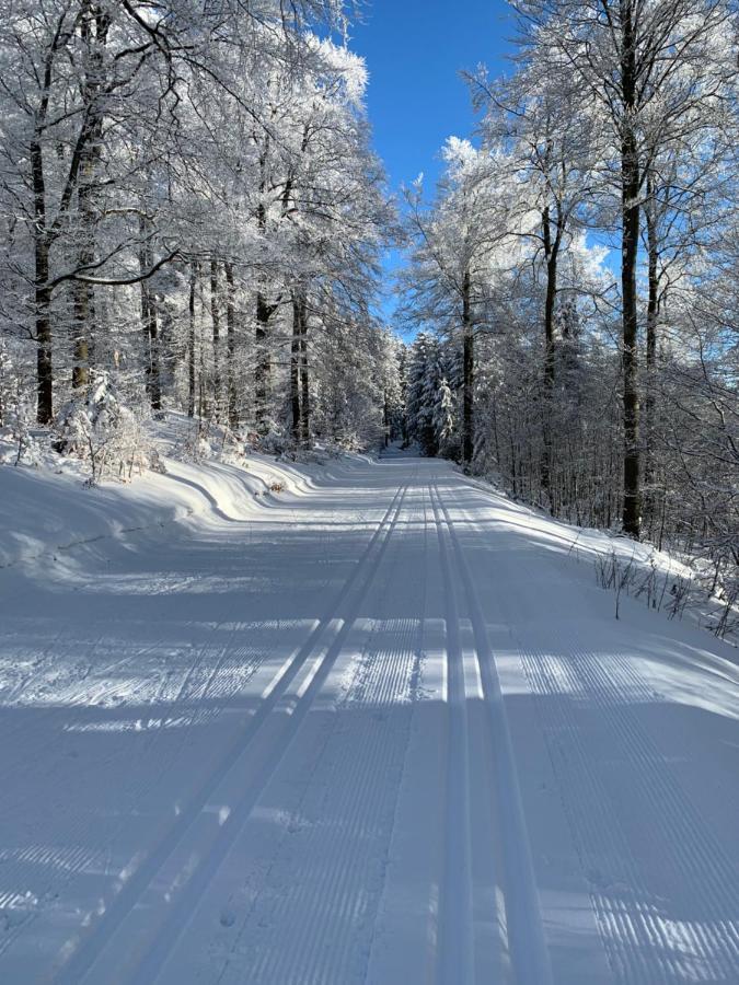 Aktiv-Ferienwohnung "Snow & Bike"- Zentral Zwischen Winterberg Und Willingen Exteriér fotografie